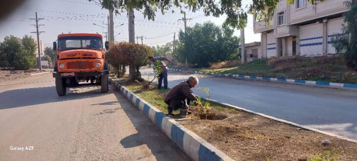 عملیات کاشت درخت برهان گلی و گل کاغذی در برخی بلوارهای سطح شهر عملیات کاشت درخت برهان گلی و گل کاغذی در برخی بلوارهای سطح شهر