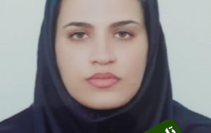 پس از تایید صلاحیت از سوی مراجع ذیصلاح،زهرا بابااحمدی رسما انصراف خود را انتخابات شورای اسلامی شهر مسجدسلیمان اعلام نمود