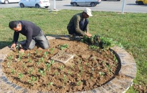 گزارش هفتگی معاونت خدمات شهری (واحد فضای سبز) شهرداری مسجدسلیمان گزارش هفتگی معاونت خدمات شهری (واحد فضای سبز) شهرداری مسجدسلیمان