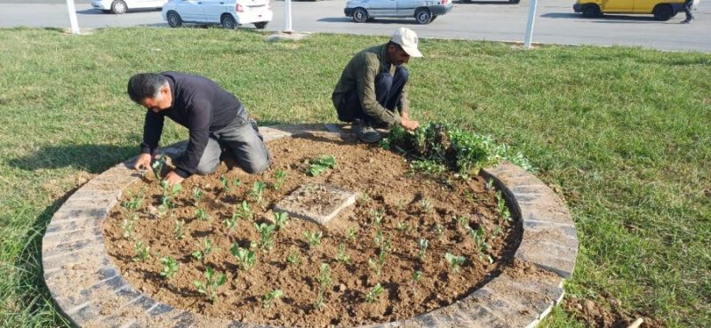 گزارش هفتگی معاونت خدمات شهری (واحد فضای سبز) شهرداری مسجدسلیمان